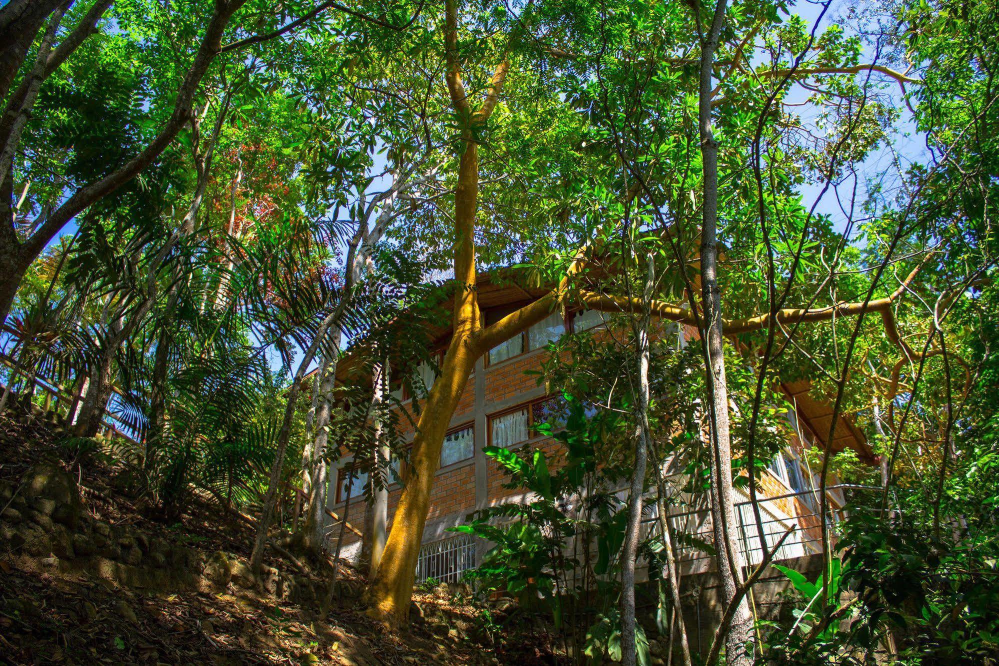 Yacumaman Sanctuary Villa Тарапото Екстериор снимка